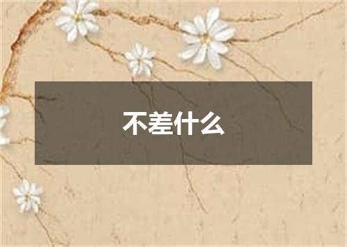不差什么