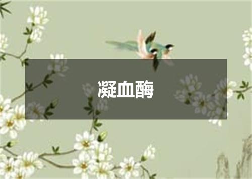 凝血酶