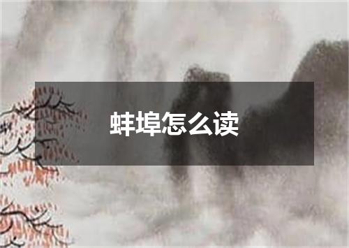 蚌埠怎么读