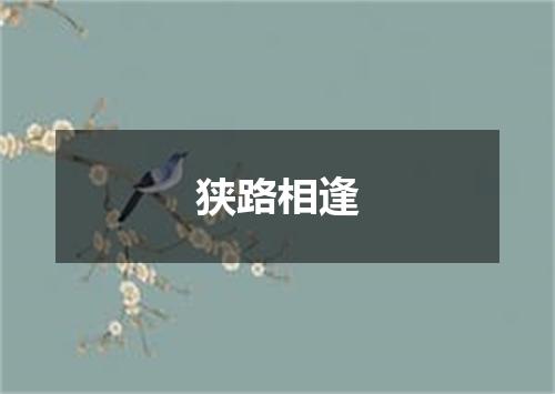 狭路相逢