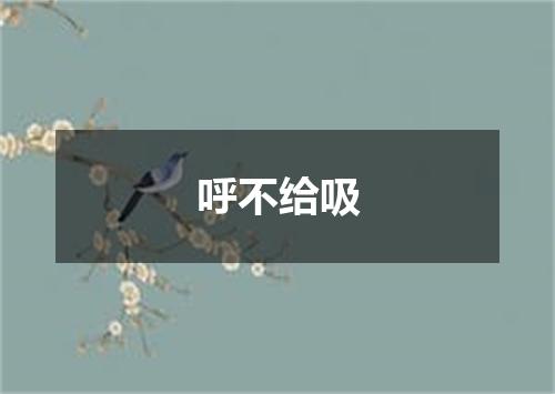 呼不给吸