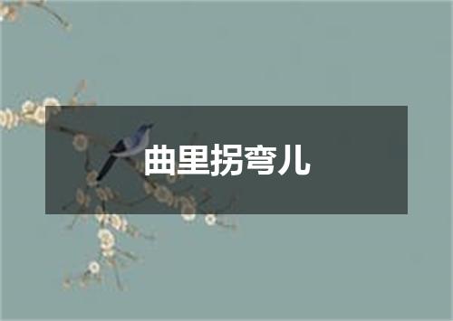 曲里拐弯儿