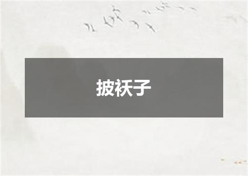 披袄子