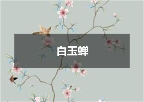白玉蝉