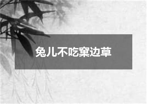 兔儿不吃窠边草