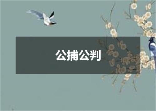 公捕公判