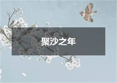 聚沙之年