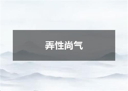 弄性尚气