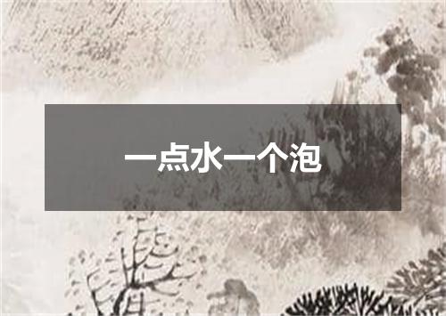 一点水一个泡