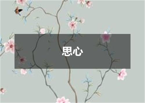 思心