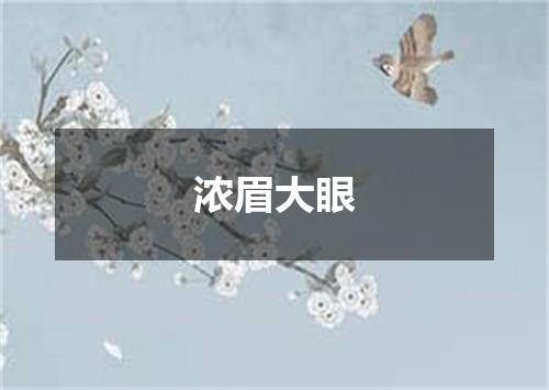 浓眉大眼