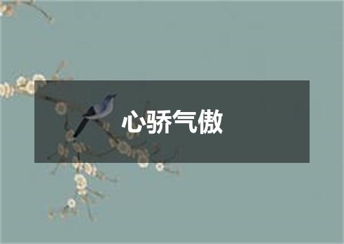 心骄气傲