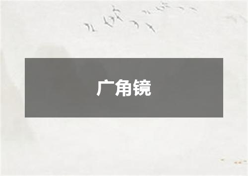 广角镜