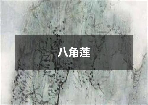 八角莲
