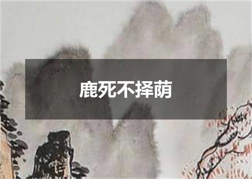 鹿死不择荫