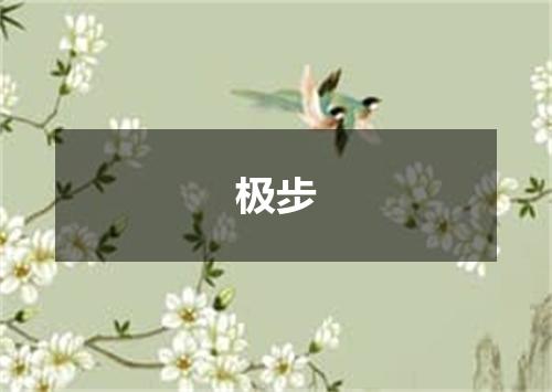 极步
