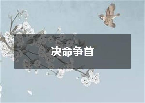 决命争首