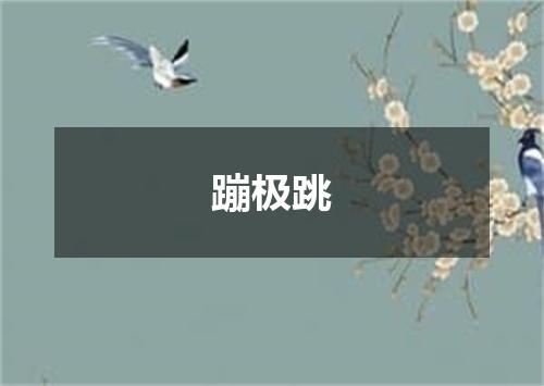 蹦极跳