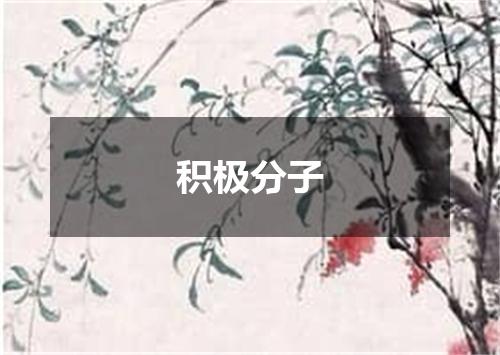 积极分子