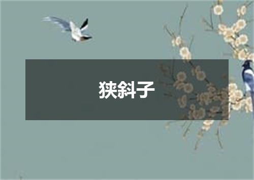 狭斜子