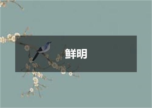 鲜明