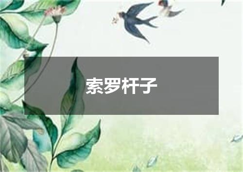 索罗杆子