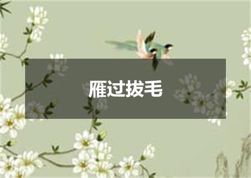 雁过拔毛