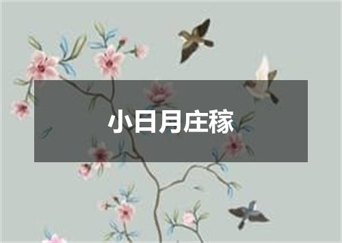 小日月庄稼