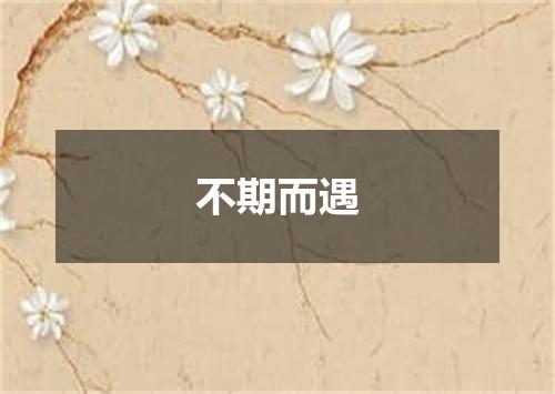 不期而遇