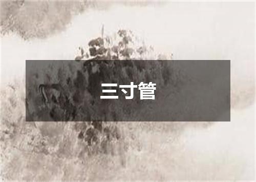 三寸管