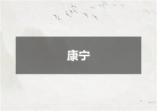 康宁