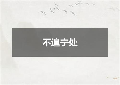 不遑宁处
