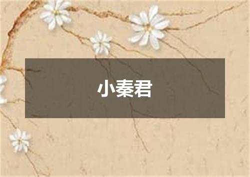 小秦君