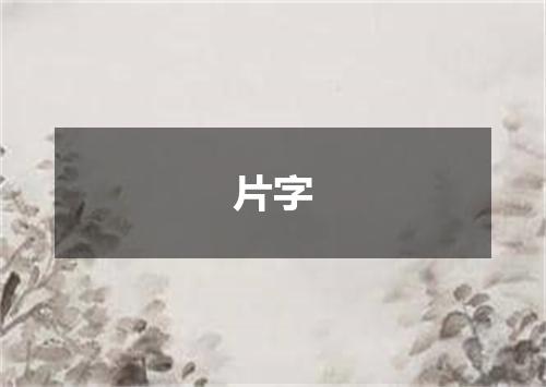 片字