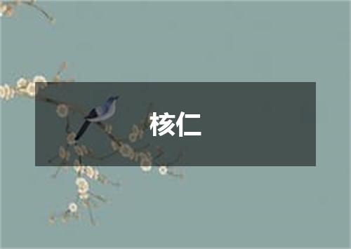 核仁