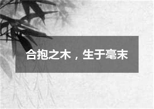 合抱之木，生于毫末