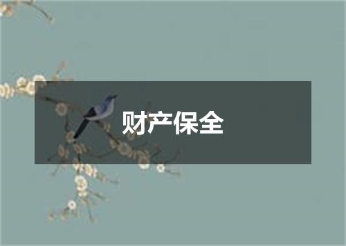 财产保全