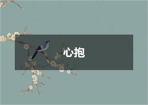心抱