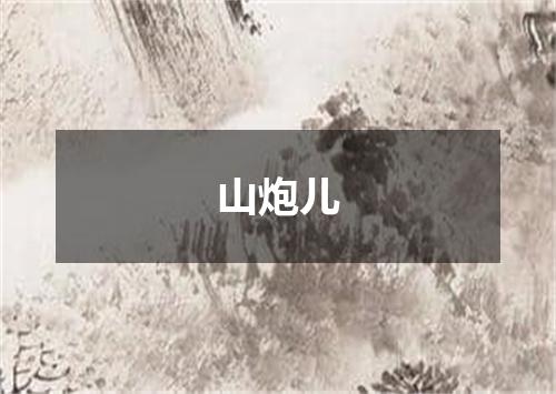 山炮儿