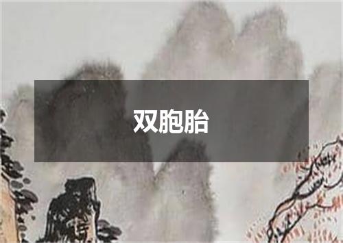 双胞胎