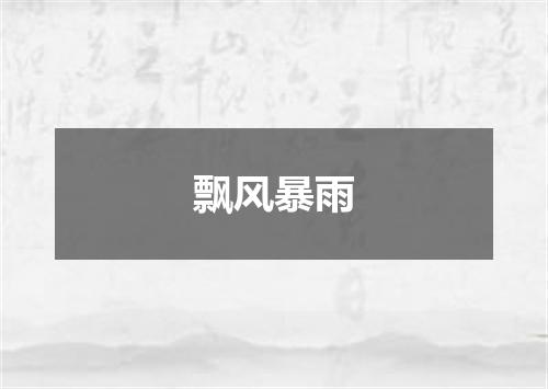 飘风暴雨
