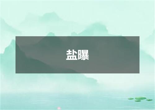 盐曝