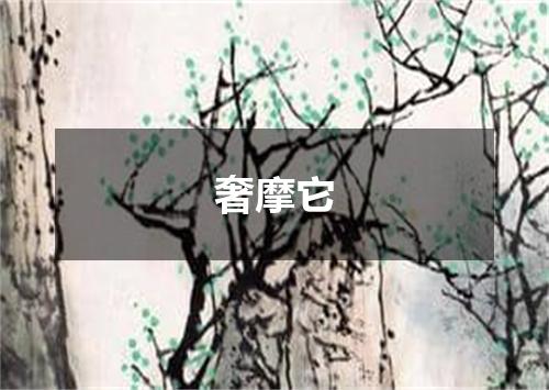 奢摩它