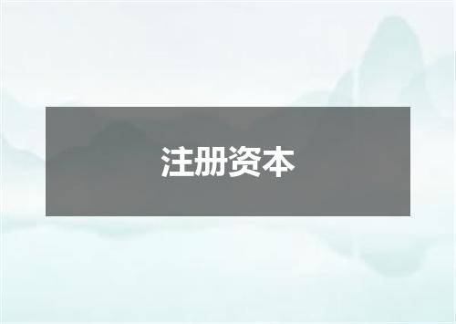 注册资本