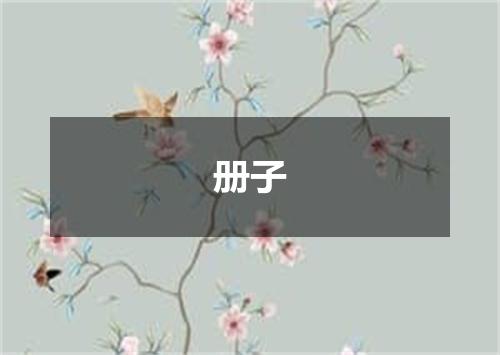 册子