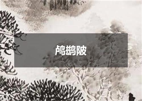 鸬鹚陂