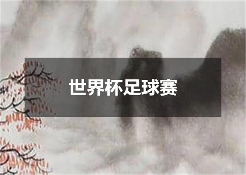 世界杯足球赛