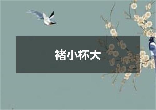 褚小杯大