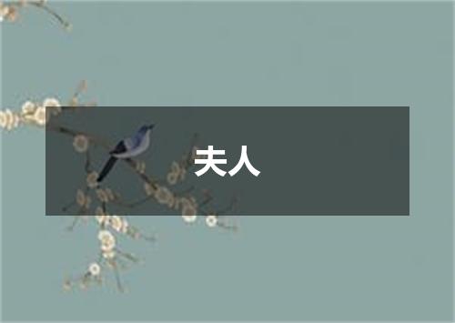 夫人