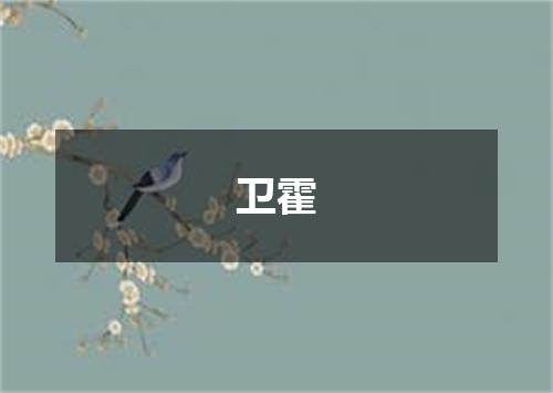 卫霍